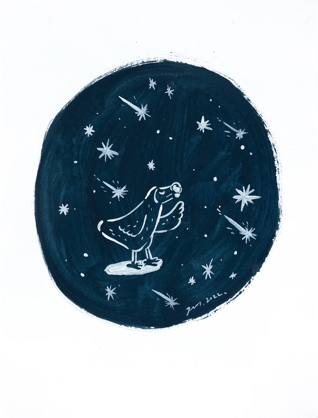 Star seeker