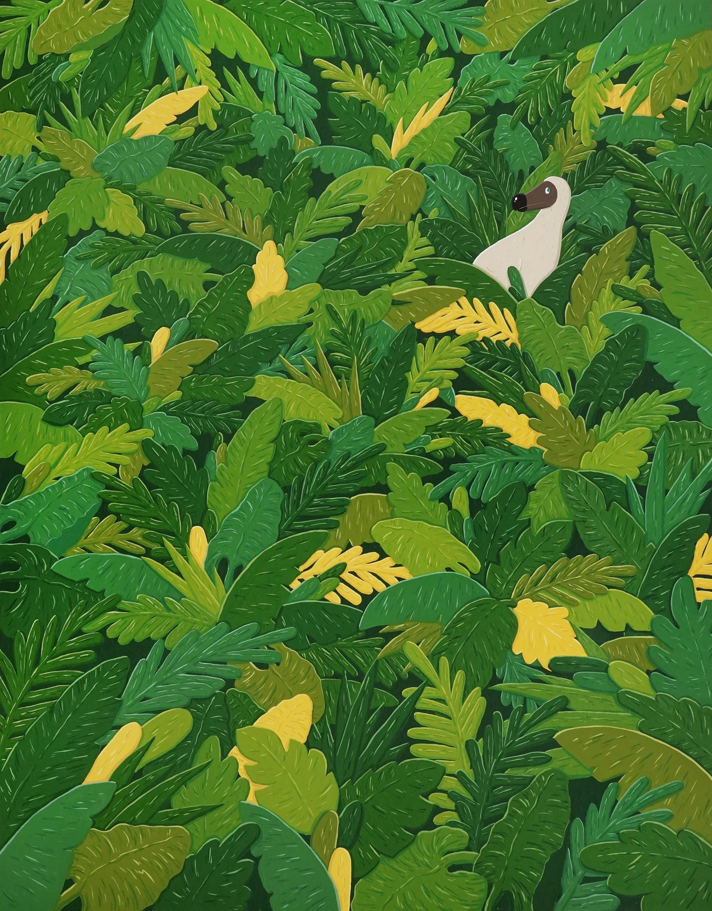 Hide n seek