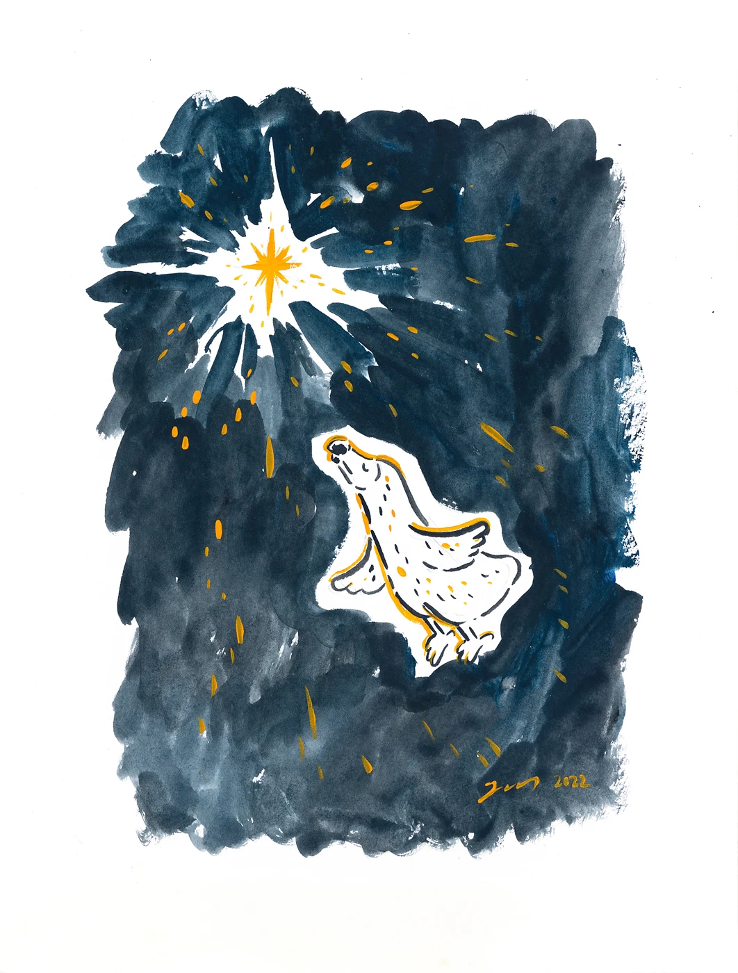 Star seeker