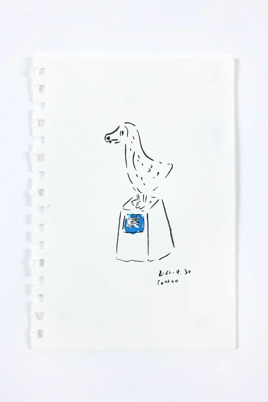 Camino