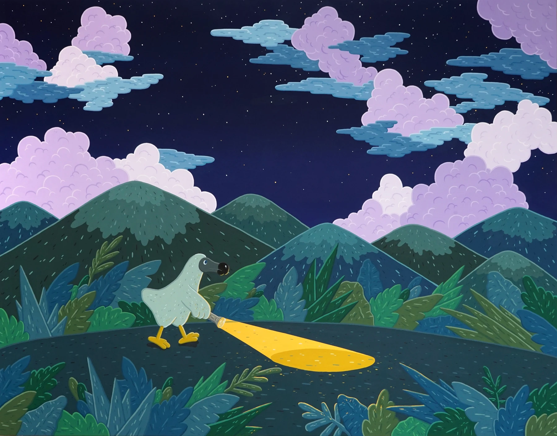 Night expedition