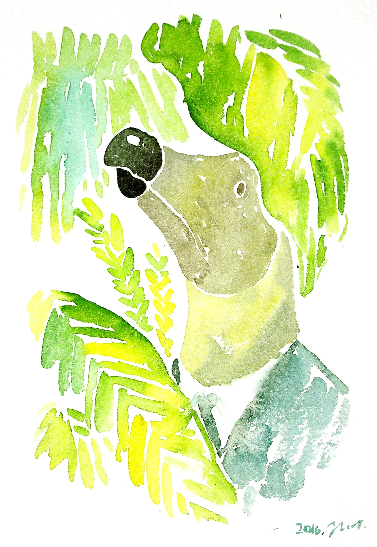 Dodo drawing 14