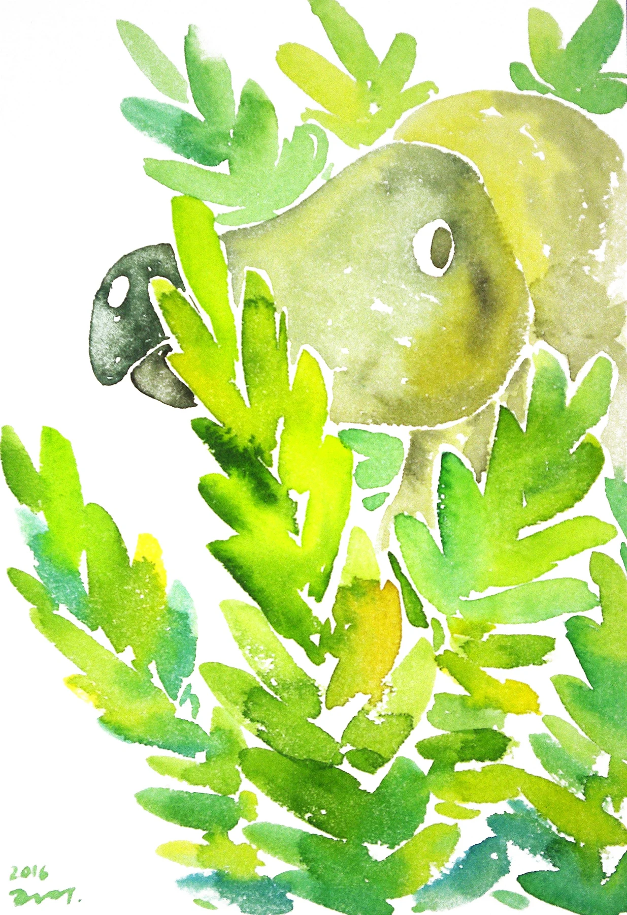 Dodo drawing 13