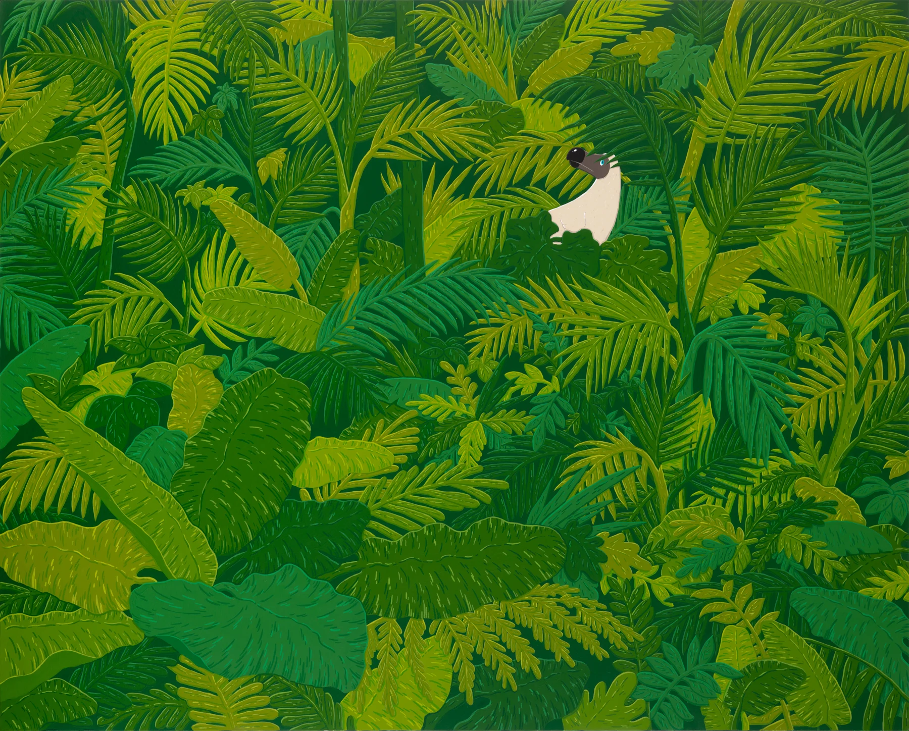 Hide n Seek