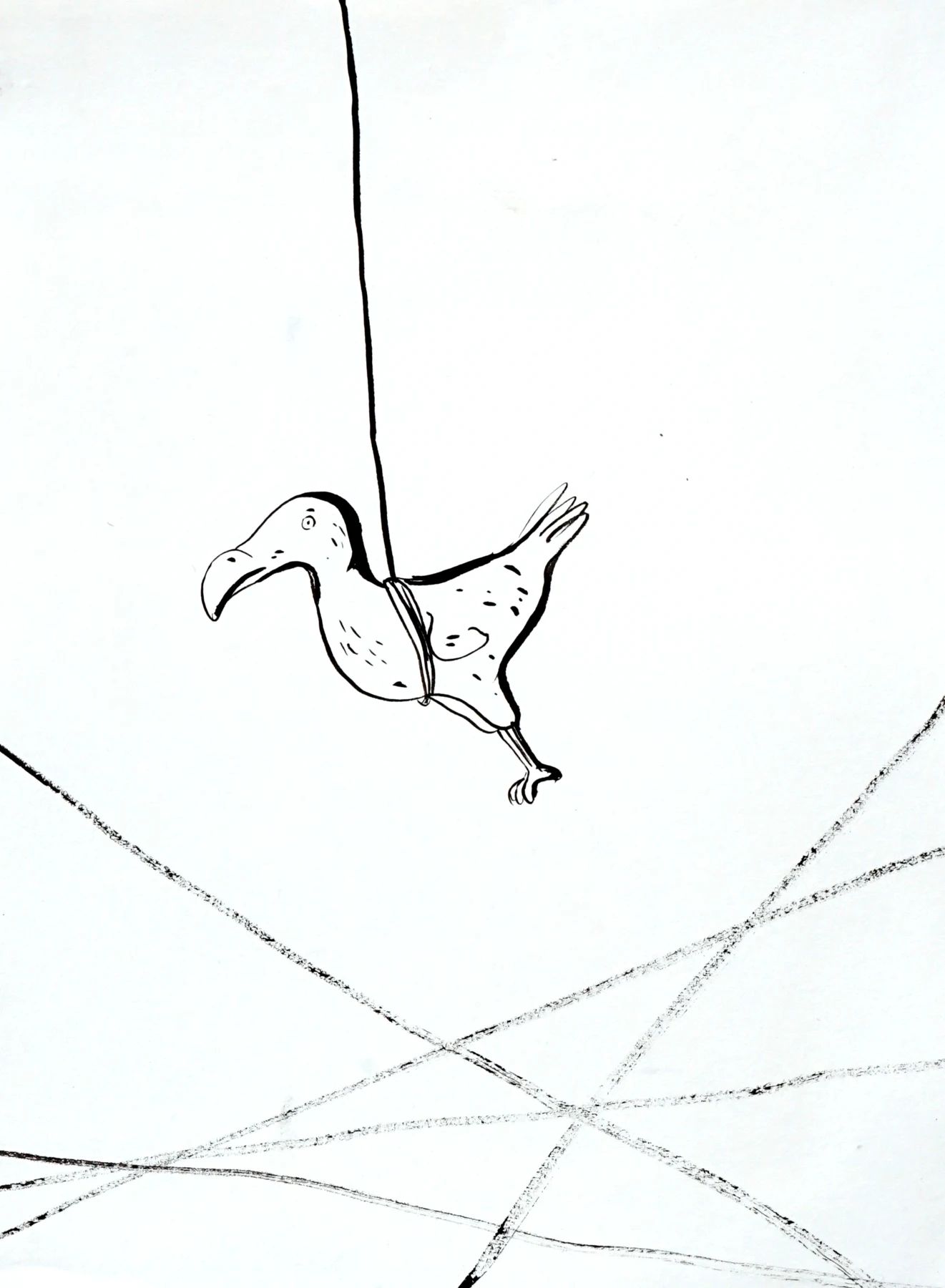 Dive