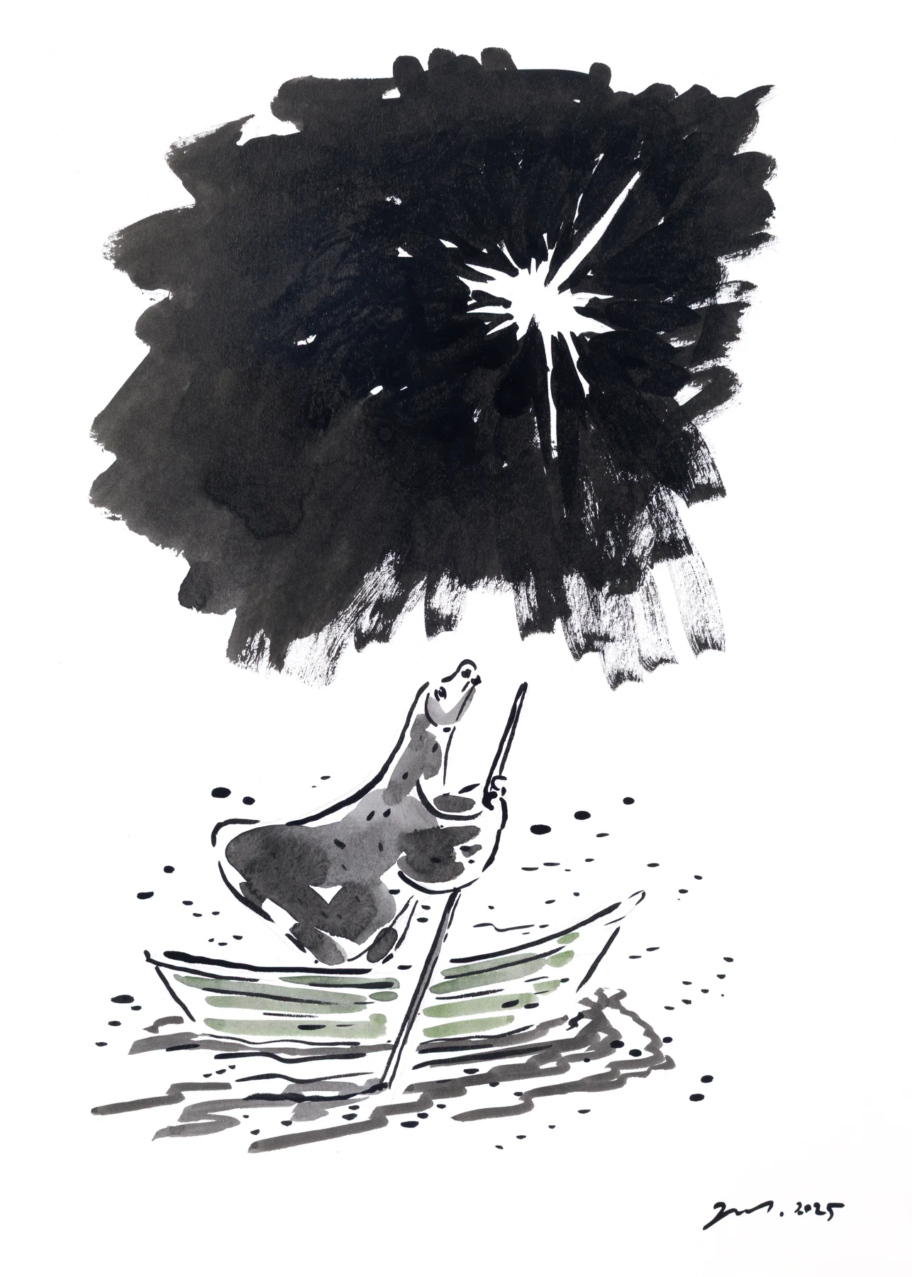 Star seeker