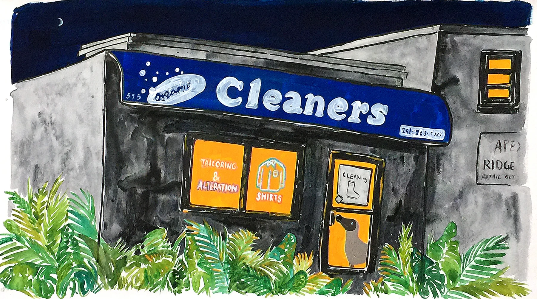 Cleaners and Dodo