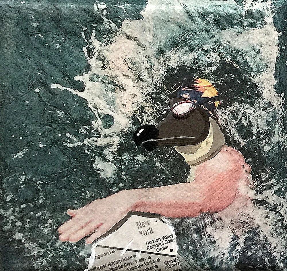 Dodo collage_2
