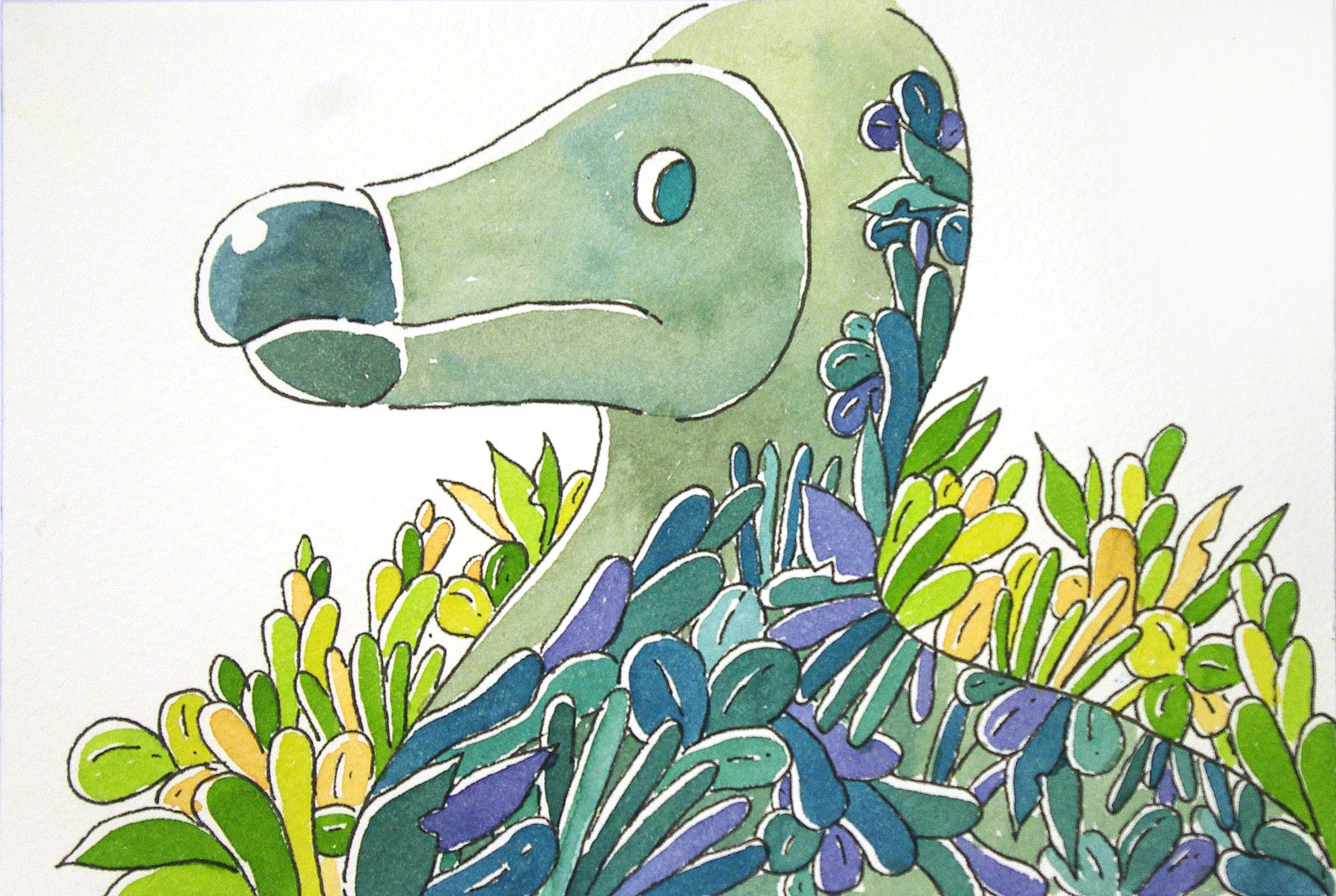 Dodo drawing 3