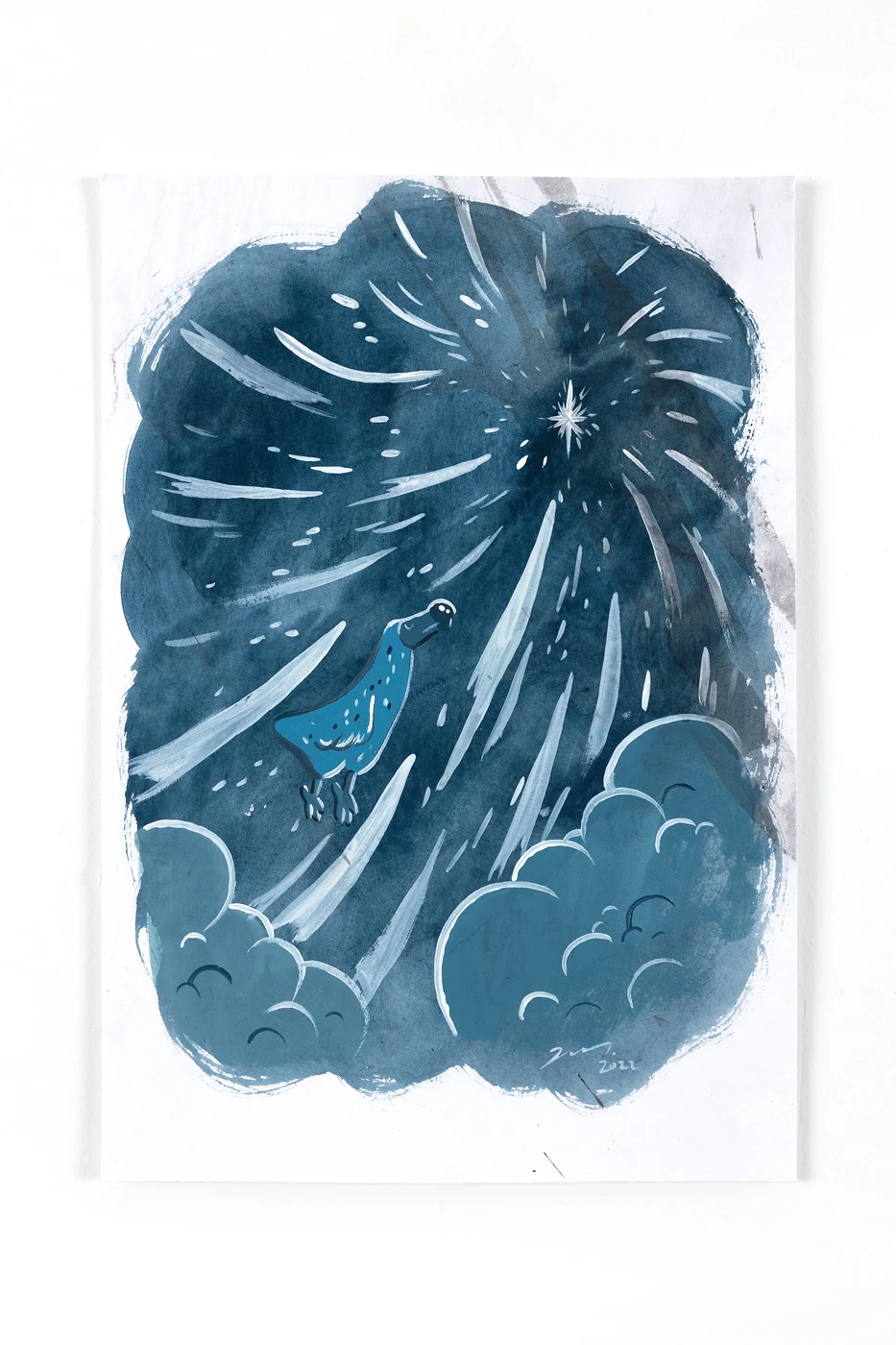 Star seeker