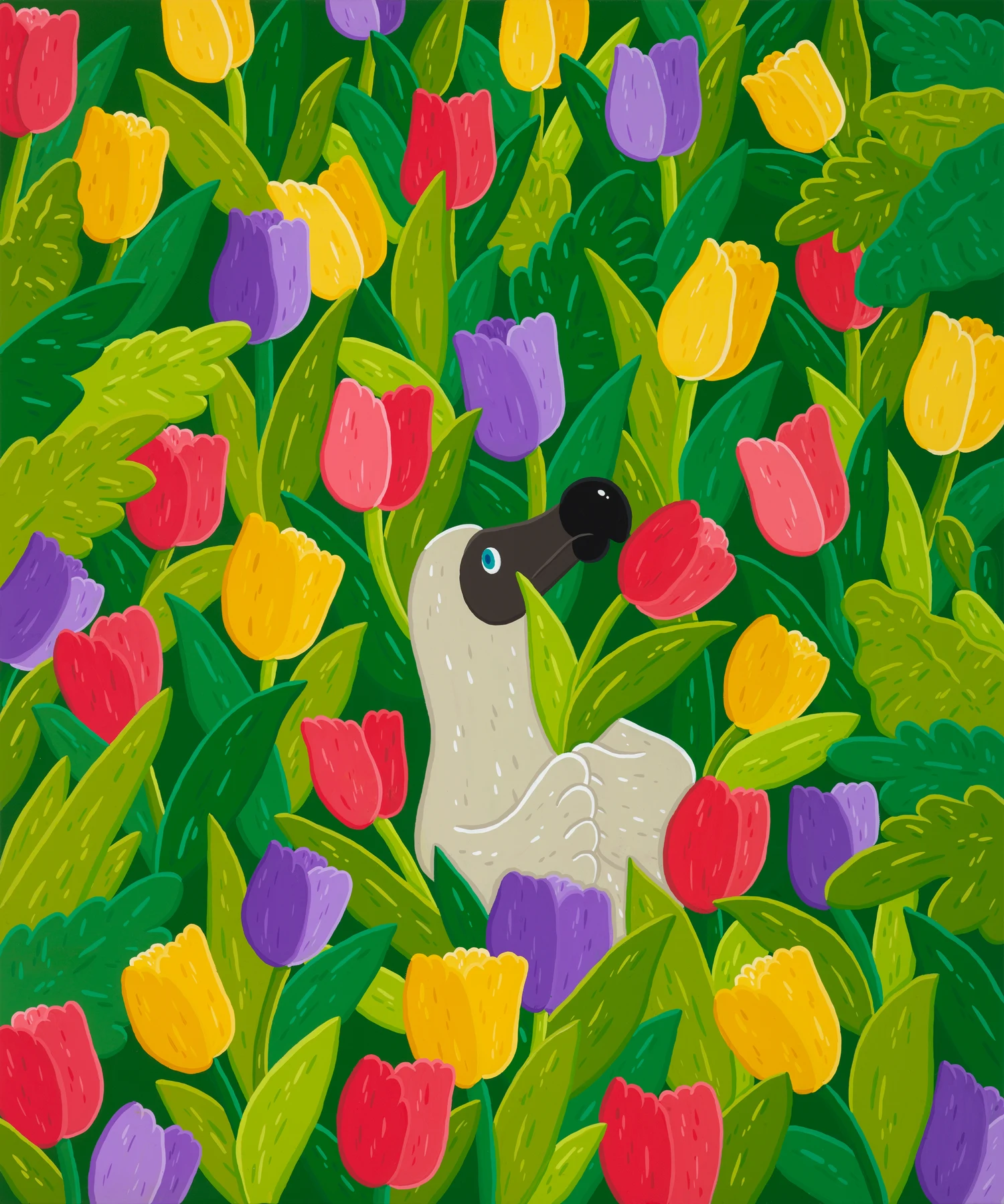 Through the tulips