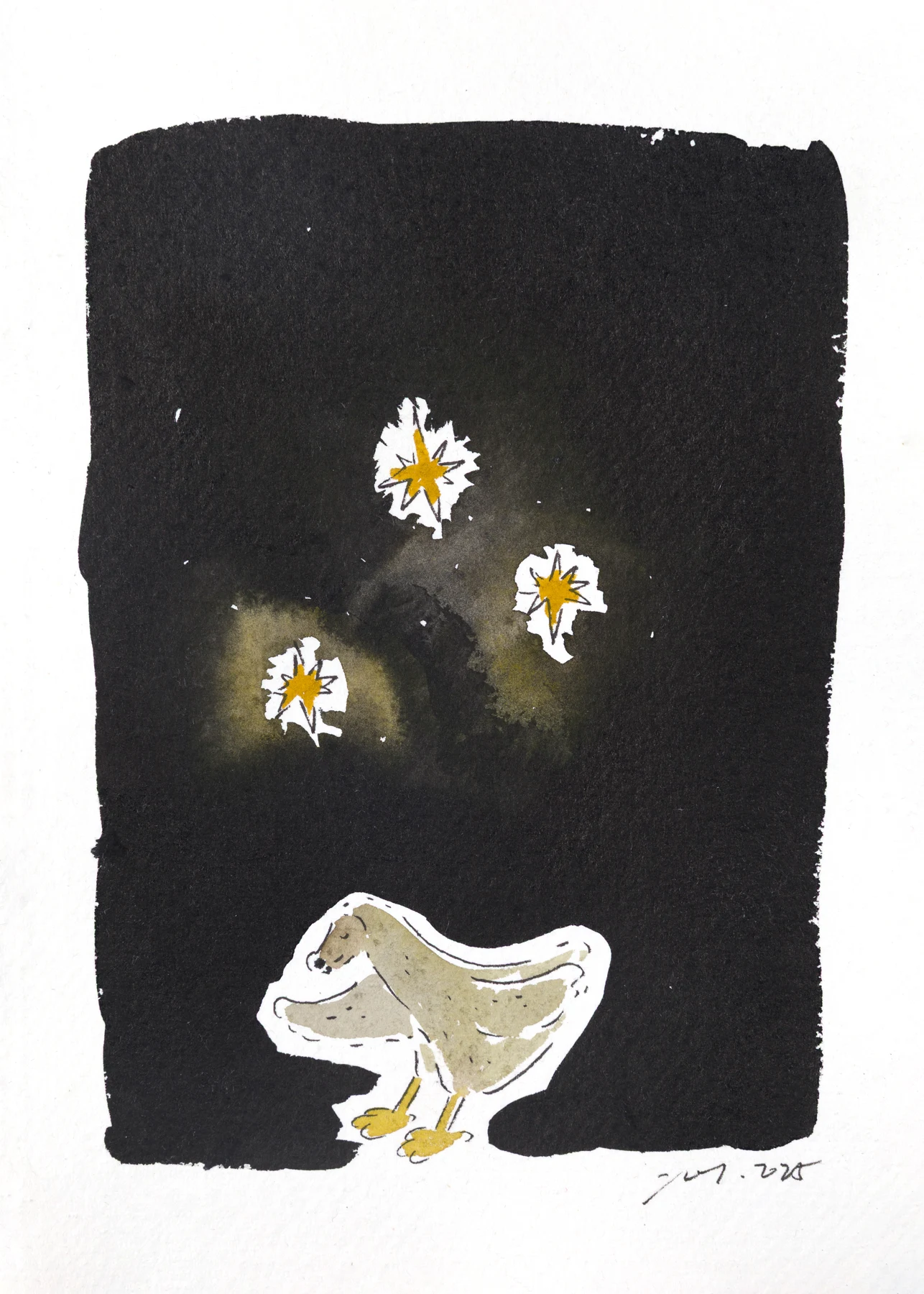 The star chaser