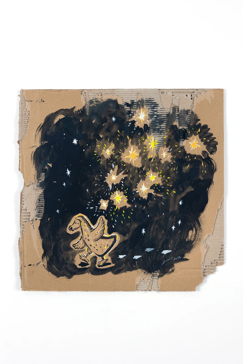 Star seeker