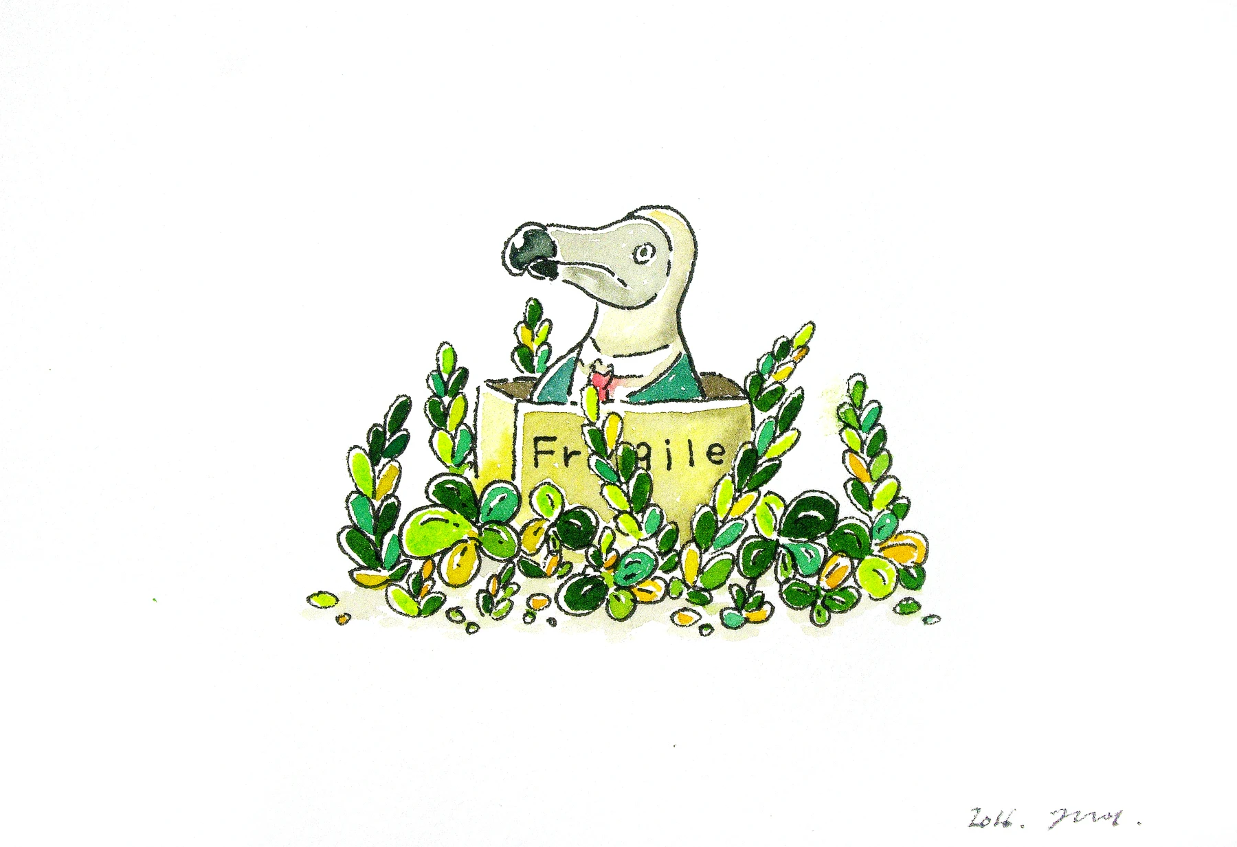 Dodo drawing 6