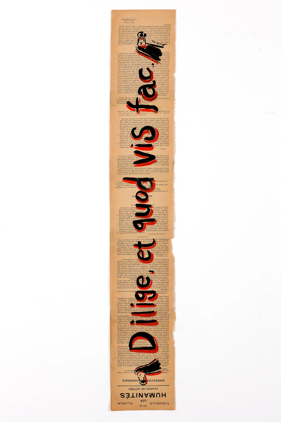 Dilige, et quod vis fac