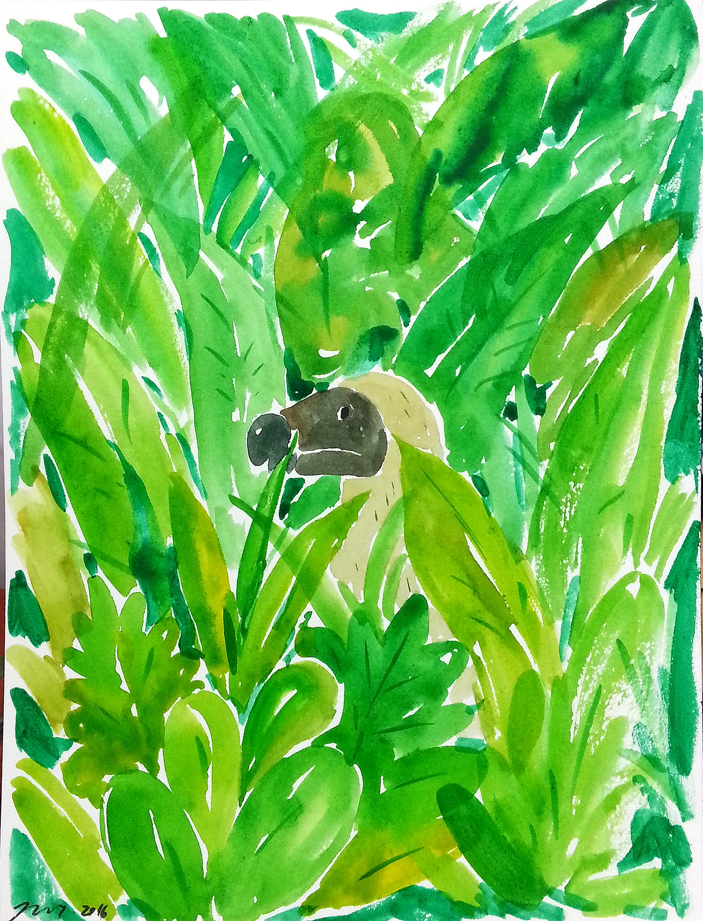 Dodo drawing