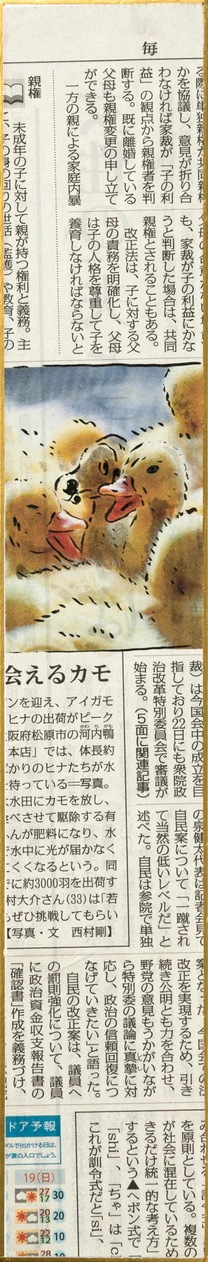 News