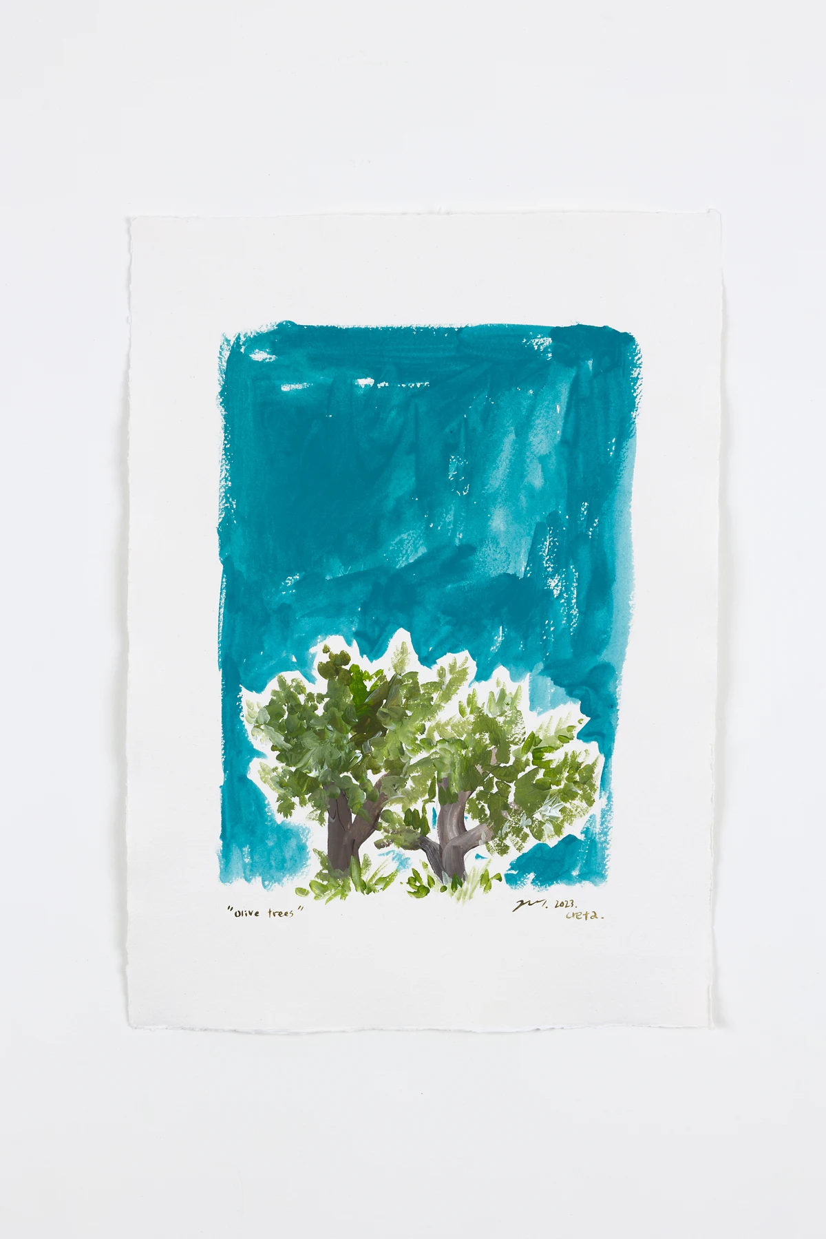 Olive trees