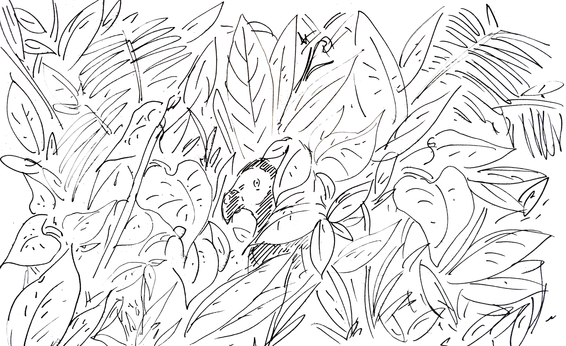 Untitled