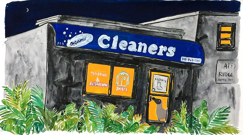 Cleaners and Dodo