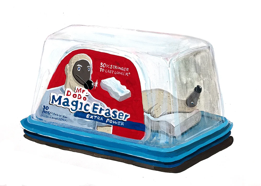 Dodo magic eraser